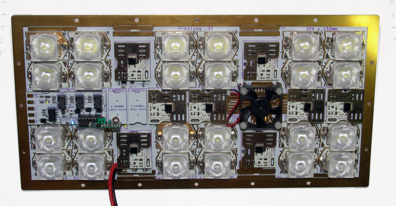 24 LED 6x12 Fully Populated Light Engine